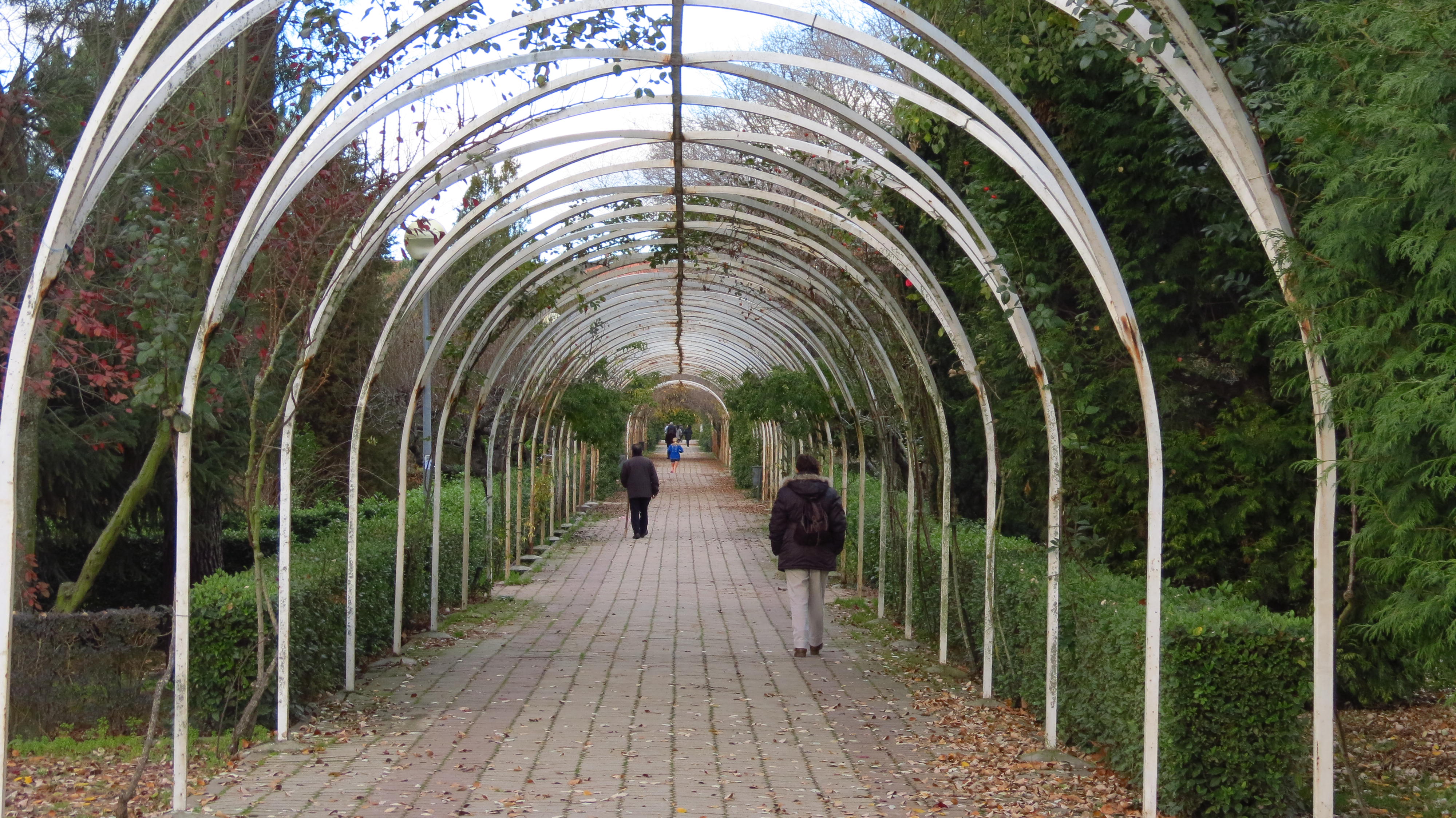 Perspectiva 9